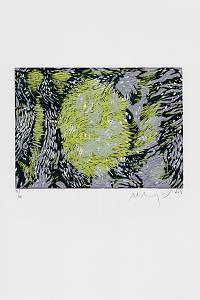 215951. Manojlín, Martin – Proudnice. I