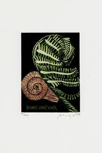 215954. Manojlín, Martin – Náhodné setkání : exlibris Luboš Vaněk