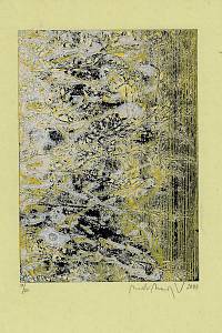 215968. Manojlín, Martin – Žlutá struktura. III
