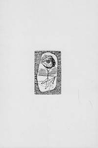 Čapek, Josef / Istler, Josef / Kupka, František / Liesler, Josef / Preissig, Vojtěch / Špála, Václav / Švengsbír, Jiří Antonín – Ex libris ze sbírek Uměleckoprůmyslového muzea v Praze