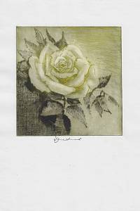 216237. Jandová, Ludmila – suchá jehla