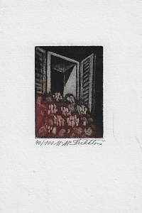 216245. Šechtlová, Marie Michaela – barevná mezzotinta