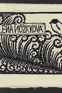 203422. Macková, Anna – Milena Nožičková (navštívenka) 