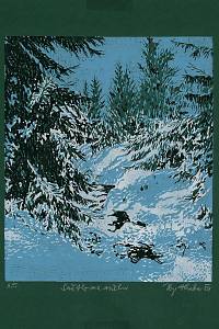 216294. Hraba, Zbyněk – Světlo na sněhu