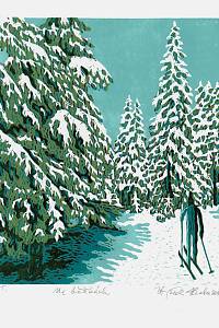 216297. Hraba, Zbyněk – Na běžkách