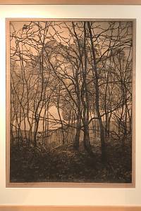 207656. Preissig, Vojtěch – V oboře
