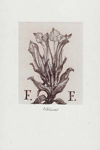 216312. Jiřincová, Ludmila – [Ex libris] F.F.