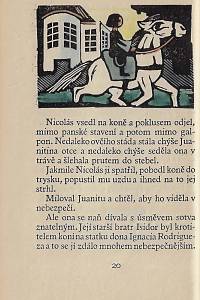 Schmied, Rudolf Johannes – Carlos a Nicolás : dětská dobrodružství v Argentině / Rudolf Johannes Schmied ; přeložil Bohuslav Reynek ; dřevoryty vyryl Michael Florian