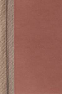 Schmied, Rudolf Johannes – Carlos a Nicolás : dětská dobrodružství v Argentině / Rudolf Johannes Schmied ; přeložil Bohuslav Reynek ; dřevoryty vyryl Michael Florian