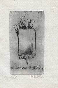 216469. Komárek, Vladimír – [Ex librisg Dr Jaroslav Vitáček