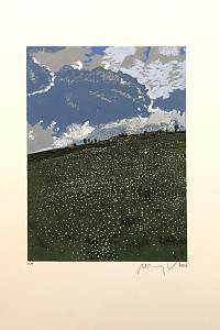 216487. Manojlín, Martin – V horách. II