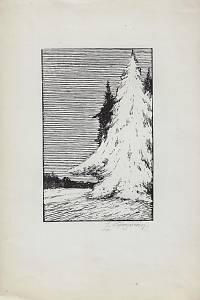 216587. Grosman, Ladislav – Zima