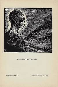 Bibliofil : časopis pro pěknou knihu a její úpravu. XVII. ročník, číslo 1-10 (1940)