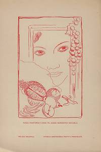 Bibliofil : časopis pro pěknou knihu a její úpravu. XIII. ročník, číslo 1-10 (1936)