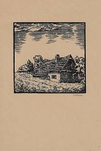 216604. Honsa, Jan – Chalupy z Hylvát