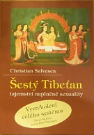 61428. Salvesen, Christian – Šestý Tibeťan, tajemství naplněné sexuality