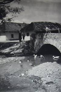 2602. Dvanáct měsíčků (Z básní českých moderních lyriků vybrala pro české děti Marie Majerová)