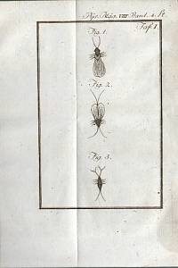 Voigt, Johann Heinrich – Magazin für das Neueste aus der Physik und Naturgeschichte, zuerst herausgegeben von den Legationsrath Lichtenberg. Achten Bandes erstes bis viertes Stück