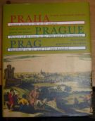 28792. Praha, Obraz města v 16. a 17. století, Soupis grafických pohledů (Prague, Picture of the town in the 16th and 17th centuries, List of views on grafic art pieces; Prag, Stadbild im 16. und 17. Jahrhundert, Verzeichnis graphischer Ansichten