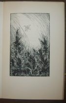 Shelley, Percy Bysshe – Citlivka 